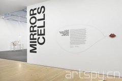 群展“鏡像細(xì)胞”日前在紐約惠特尼美國(guó)藝術(shù)博物館