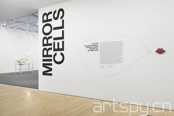 群展“鏡像細(xì)胞”日前在紐約惠特尼美國(guó)藝術(shù)博物館(圖1)