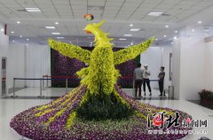 唐山市民快到世園會(huì)看國際精品蘭花展