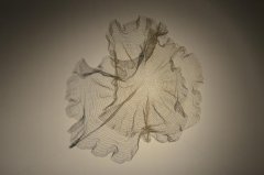 哈維爾·沃爾斯基作品展將亮相劉海粟美術(shù)館