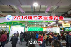 看展覽、嘗美食、囤年貨 2016浙江農(nóng)博會(huì)